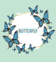 blaue Schmetterlinge, die Poster im Rahmen beschriften vektor