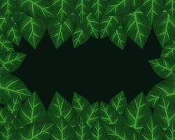 tropischer Rahmen dekorativ mit grünen Blättern im schwarzen Hintergrund vektor