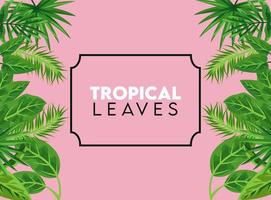 tropische Blätter, die Poster mit Blättern im quadratischen Rahmen in rosafarbenem Hintergrund beschriften vektor