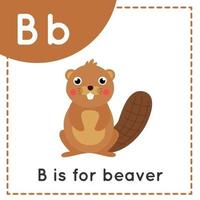 Lernen des englischen Alphabets für Kinder Buchstabe b niedlicher Cartoon-Biber vektor