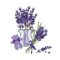 Lavendel Blumen, duftend tragen, Vase mit Lavendel Strauß. Vektor Illustration von Lavendel isoliert auf Weiß Hintergrund. Hochzeit Einladungen, Gruß Karten, Etiketten und kosmetisch Produkt Abdeckungen.
