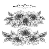 Sonnenblume hoch detailliert handgezeichnete Skizze dekorative Elemente Vektor