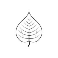 Gliederung Baum Blatt Vektor Illustration isoliert auf transparent Hintergrund