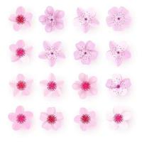 realistische rosa Sakura Blütenblätter Symbol Set Kirschblumen vektor