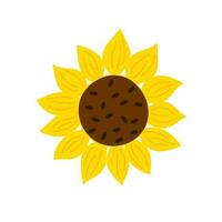 gul solros platt stil enkel vektor hand dragen blommig illustration, sommar fält jordbruks växt, blomma huvud i blomma för hälsning kort, bröllop inbjudningar, Semester design, affisch, baner