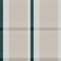 tartan sömlös mönster. gingham mönster traditionell skott vävd tyg. skogsarbetare skjorta flanell textil. mönster bricka swatch ingår. vektor