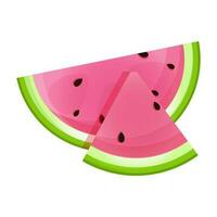 Hälfte von ein Wassermelone und ein dreieckig Stück vektor