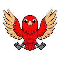 söt röd sufffusion kärleksfågel tecknad serie flygande vektor