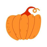 Orange Kürbis Vektor Illustration. Herbst Halloween Kürbis, Gemüse Grafik Symbol oder drucken