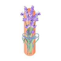 lavendel- blommor på trä, franska blommade violett flora. provence blommig växt. lila lavendar stjälkar. lavanda blommar. vektor
