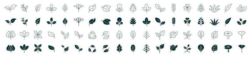 blad ikon uppsättning linje och fylla. löv av träd och växter, löv ikon samling, design för naturlig, eko, bio, och vegan etiketter. vektor illustration.