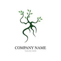 Mangrove Bäume und Mangrove Wald Ökologie Logo Design Vektor