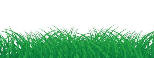 Gras Dekoration Element isoliert auf Weiß Hintergrund vektor