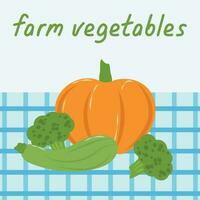 illustration med färsk bruka grönsaker vektor