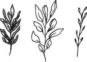 minimalism vektor grenar. grafisk löv för tatueringar, inbjudningar. svart och vit löv. uppsättning linje konst. vektor illustration av höst löv.