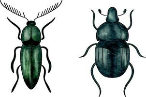 vattenfärg illustration insekter. buggar. isolerat element. vattenfärg uppsättning av skalbaggar insekt. vattenfärg skalbagge. vektor