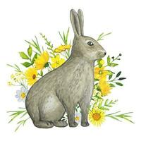 Hase mit Wiese Gelb Blumen und Blätter, Aquarell vektor