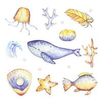 Meer einstellen mit ein Wal, Algen, Qualle, Muscheln, Fisch, im lila und Gelb Töne, Aquarell vektor