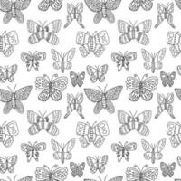vektor fjärilar sömmar mönster. hand dragen fjäril svart och vit mönster