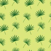 grön chamaerops löv sömlös mönster. vektor chamaerops löv på grön bakgrund