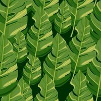Hawaii-inspirerad mönster. moderiktigt exotisk, handflatan träd och frodig grönska tapet. abstrakt bakgrund botanisk trädgård. vektor
