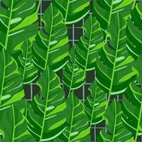 hawaiianisch inspiriert Muster. modisch exotisch, Palme Bäume und üppig Grün Hintergrund. abstrakt Hintergrund botanisch Garten. vektor