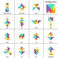 Tangram Puzzle Spiel zum Kinder. Vektor bunt Sammlung mit verschiedene isoliert Pflanzen. isoliert Tangram Pflanzen Symbole auf Weiß Hintergrund. Vektor Illustration