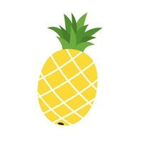 Ananas tropisch Obst Vegetarier Essen Symbol vektor