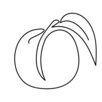 Pfirsich tropisch Obst Illustration Linie Kunst Stil vektor