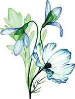 Aquarell Zeichnung. Strauß, Komposition von transparent Schneeglöckchen Blumen. Frühling Strauß, Dekoration zum Postkarte vektor