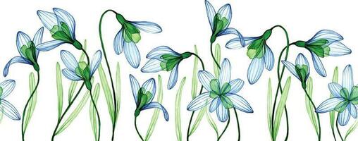 Aquarell Zeichnung. nahtlos Grenze, Rahmen von transparent Blumen. Frühling Blau Blumen auf ein Weiß Hintergrund, Röntgen vektor