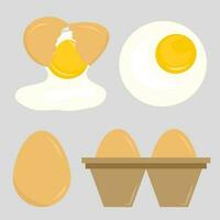 rå och friterad ägg samling vektor