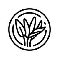 Salbei kosmetisch Pflanze Linie Symbol Vektor Illustration