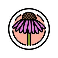 Kegel Blume kosmetisch Pflanze Farbe Symbol Vektor Illustration