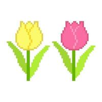 blomma pixel konst, tulpan blomma pixel konst, pixel illustration av en tulpan. vektor
