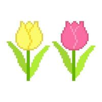 Blume Pixel Kunst, Tulpe Blume Pixel Kunst, Pixel Illustration von ein Tulpe. vektor