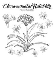 natal lilly blommor färg bok hand dragen illustration vektor