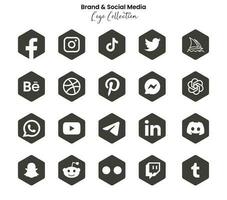 populär social nätverk symboler, social media logotyp ikoner samling vektor