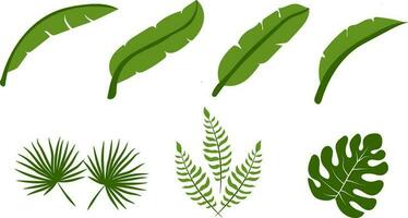 Sammlung von tropisch Grün Blätter Vektor eben Design.