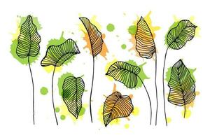 en uppsättning av kontur löv med de tillägg av vattenfärg fläckar. illustration, ikoner, vektor
