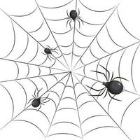 Spinnen auf das Netz. Insekten auf ein Weiß Hintergrund. Illustration, Hintergrund, Vektor
