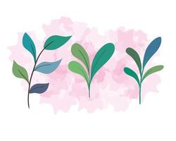 grenar med blad natur på vit och rosa bakgrund vektor