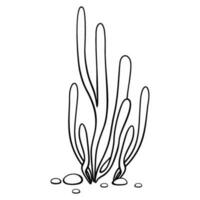 Gliederung unter Wasser Algen. schwarz und Weiß Illustration von Wasser- Pflanzen. Seetang. Vektor Clip Art isoliert auf Weiß Hintergrund.