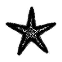 svart och vit hav sjöstjärna på vit bakgrund. skiss under vattnet hav djur. isolerat vektor illustration på en marin tema.