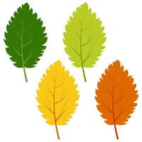 uppsättning av grön, gul och röd löv isolerat på vit bakgrund. vektor illustration av höst löv.