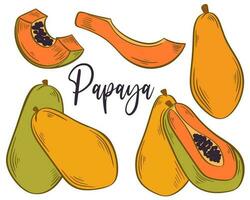 Papaya ganz, geschnitten, Hälfte Hand gezeichnet einstellen vektor