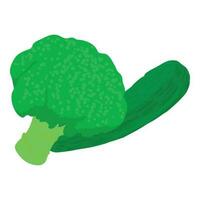 rå mat ikon isometrisk vektor. grön färsk broccoli nära vegetabiliska märg ikon vektor