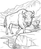 amerikan bison färg sida för vuxna vektor illustration