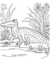 Alligator Färbung Seite zum Anfänger Färbung Buch Profi Vektor