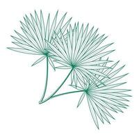 saribus rotundifolius handflatan blad vektor design mall